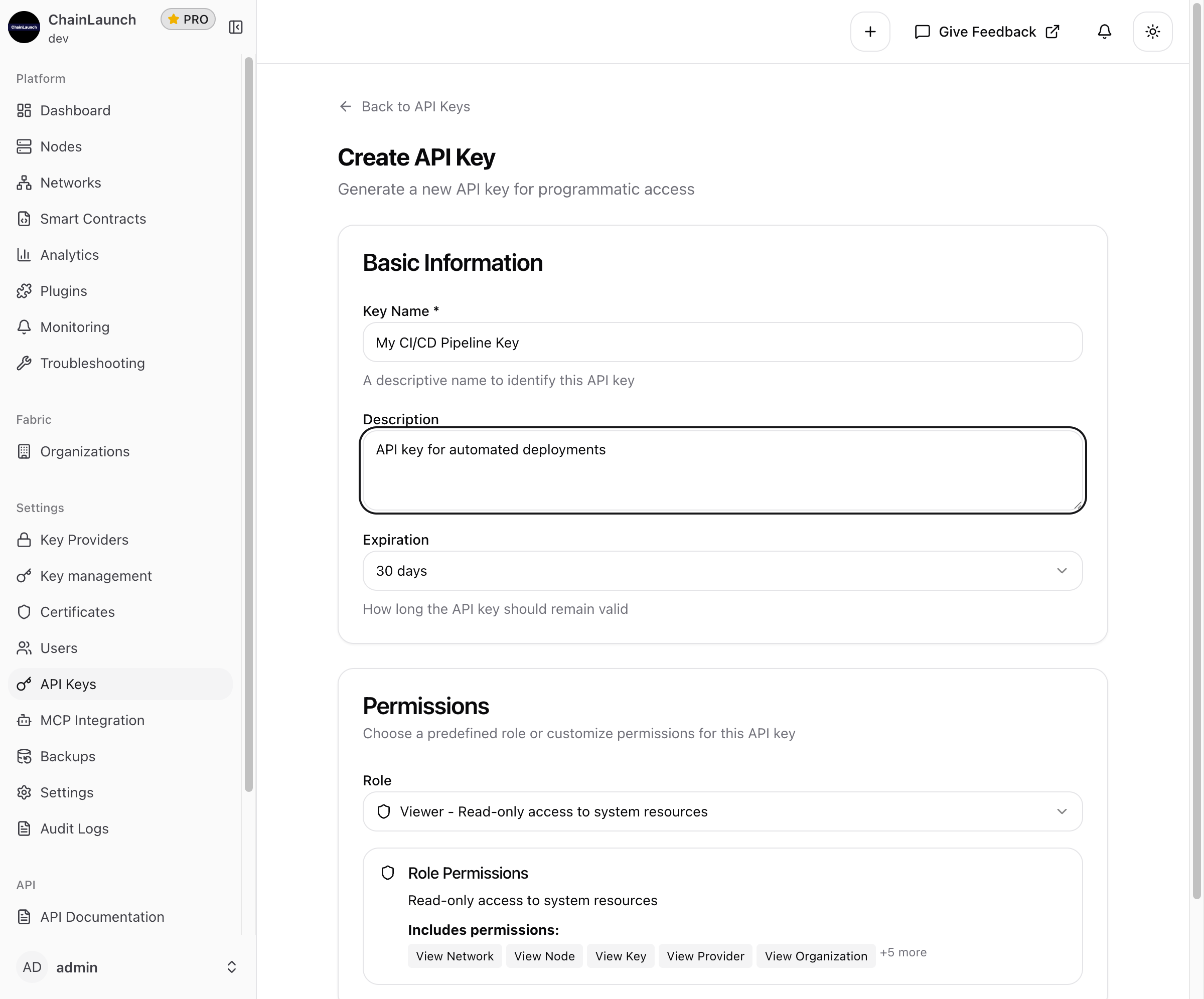 Filled API Key Form